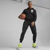 Puma Posterize 2.0 Hoodie Siyah Erkek Sweatshirt