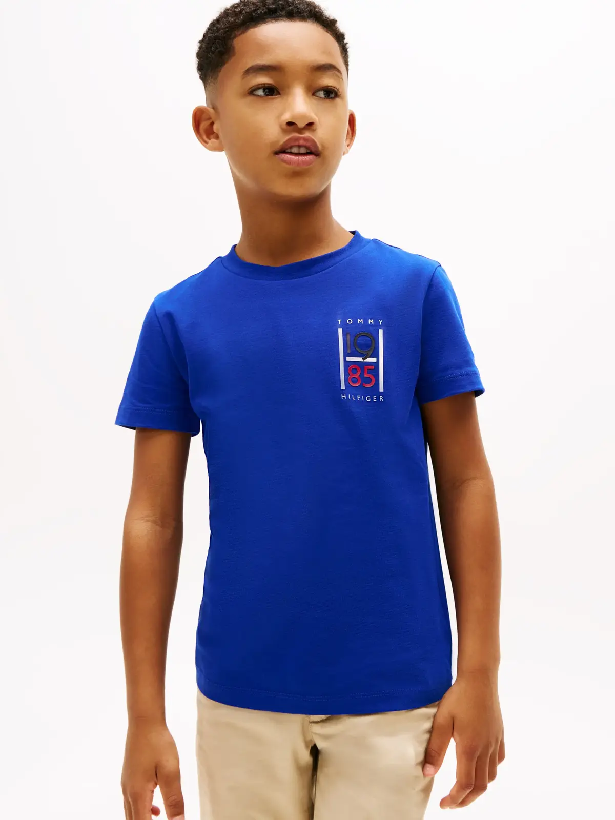 Tommy Hilfiger TH GRAPHIC REG TEE S, D03 Lacivert Erkek T-Shirt & Polo