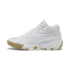 Court Pro Marble