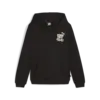 Puma ESS+ MID 90S Hoodie TR Siyah Erkek Sweatshirt