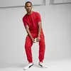 Puma Ferrari Race Tonal Shield T Kırmızı Erkek T-Shirt