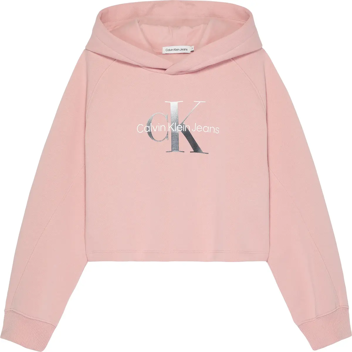 Calvin Klein GRADIENT MONOGRAM HO Kadın Pembe Hoodie