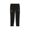 Puma GSK EVOSTRIPE Pants GALATASARAY EVOSTRIPE Erkek Eşofman Altı