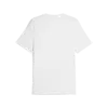 Puma GRAPHICS Big Cat Tee Beyaz Erkek T-Shirt & Polo