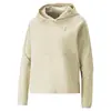 Puma EVOSTRIPE Hoodie