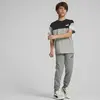 Puma Power Colorblock Tee Gri Erkek Çocuk T-Shirt