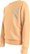 Calvin Klein GRADIENT LOGO CN SWE Erkek Turuncu Sweatshirt