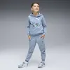 Puma X HOT WHEELS Hoodie Mavi Erkek Hoodie