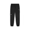 Puma DESERT ROAD Cargo Pants Siyah Erkek Eşofman Altı