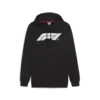 Puma F1 ESS Logo Hoodie Siyah Erkek Sweatshirt