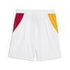 Puma GSK Shorts GALATASARAY 26/27 Erkek Futbol Şortu
