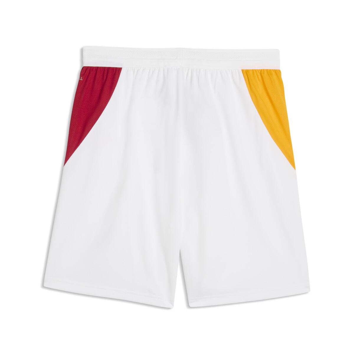 Puma GSK Shorts GALATASARAY 26/27 Erkek Futbol Şortu
