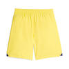 Puma FSK Shorts Promo Blazing Yellow-Medieval Sarı Erkek Şort