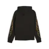 PUMA Caution Hoodie Siyah Erkek Hoodie