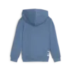 Puma X TROLLS Hoodie Mavi Erkek Çocuk Hoodie