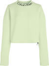 Calvin Klein PW - Pullover Kadın Yeşil Kazak