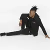Puma Evostrıpe Fz Hoodie Siyah Erkek Hoodie