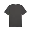 Puma ESS ELEVATED Tee Gri Erkek T-Shirt