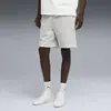 Puma SELECT Essentials Shorts Açık Gri Erkek Şort