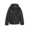 ESS Hooded Padded Jacket