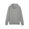 Puma ESS Small Logo Hoodie TR Erkek Sweatshirt