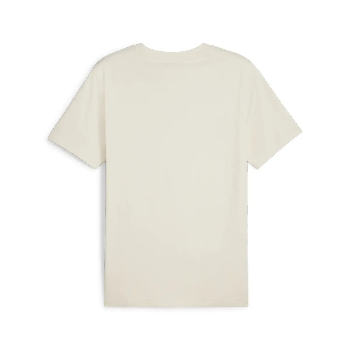 Puma TEAM Graphic Tee Bej Erkek T-Shirt