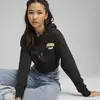 Puma PUMA TEAM Cropped Hoodie Siyah Kadın Hoodie