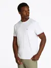 GLOBAL STRIPE CUFF T, YBR