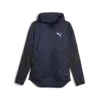 Puma EVOSTRIPE Full-Zip Hoodie Lacivert Erkek Hoodie