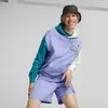 Puma Fandom Hoodie Mor Erkek Hoodie