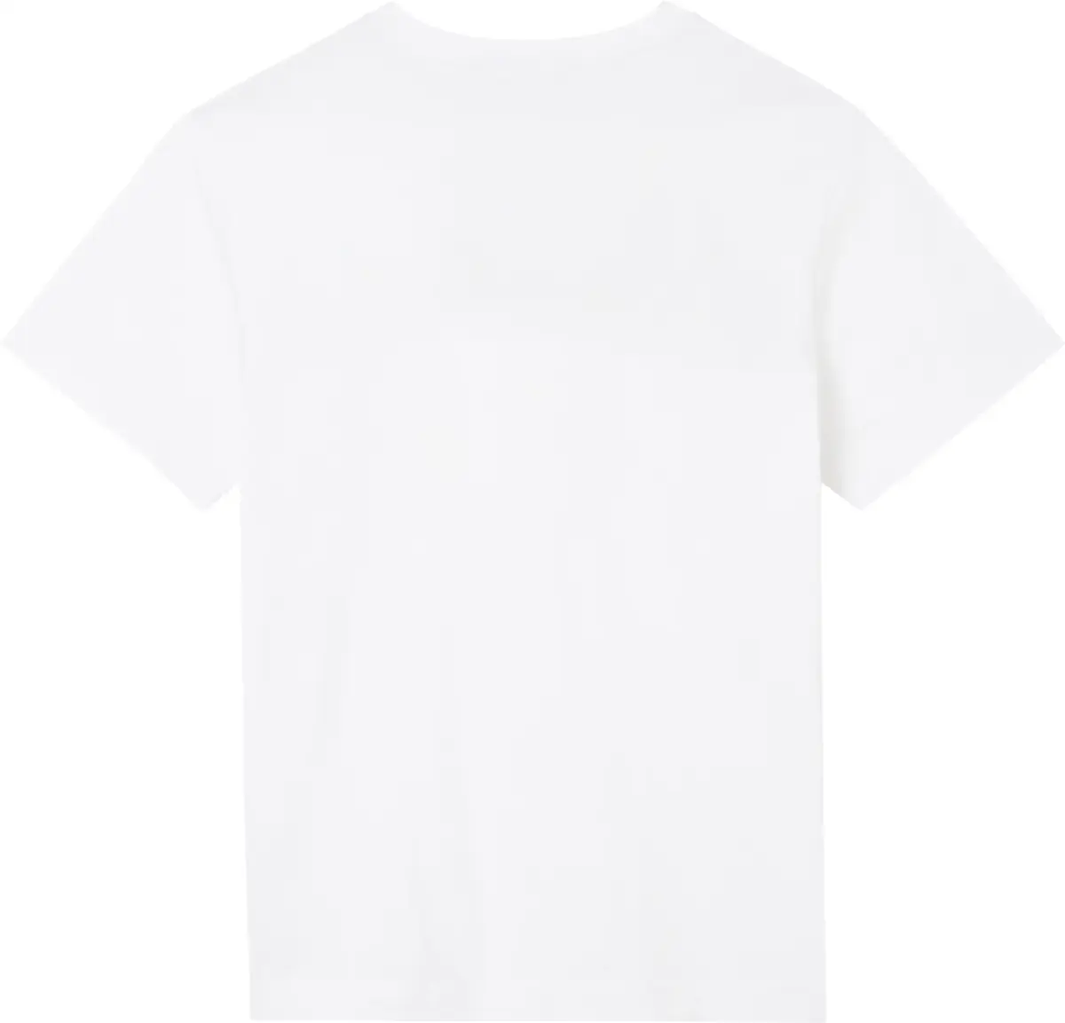Calvin Klein Beyaz Erkek T-Shirt & Polo