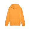 Puma GSK FtblESS Hoodie FL GALATASARAY FtblESSENTIALS Erkek Kapüşonlu SWEATSHIRT