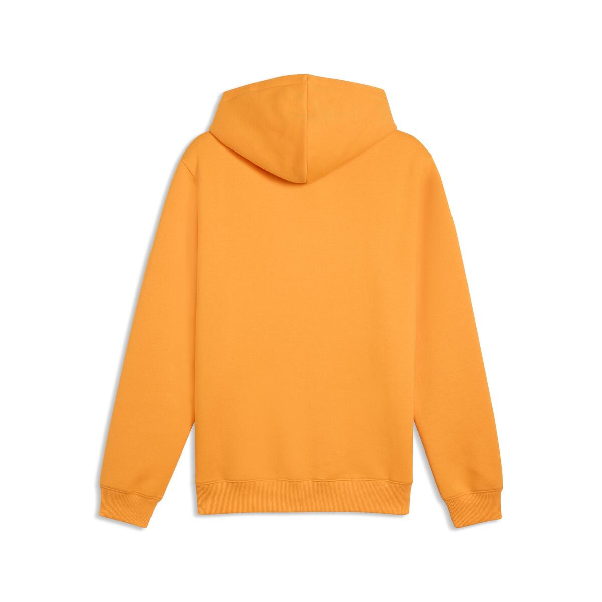 Puma GSK FtblESS Hoodie FL GALATASARAY FtblESSENTIALS Erkek Kapüşonlu SWEATSHIRT