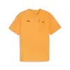 Puma DESERT ROAD Tee Turuncu Erkek T-Shirt