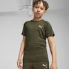 Puma EVOSTRIPE Tee Yeşil Erkek T-Shirt