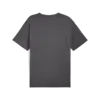 Puma GRAPHIC Relaxed Washed Tee Erkek T-Shirt & Polo