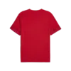 Puma teamCUP Training Jersey Kırmızı Erkek Forma