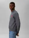 Calvin Klein LS PREMIUM TERRY GRP, CEG Gri Erkek Sweatshirt