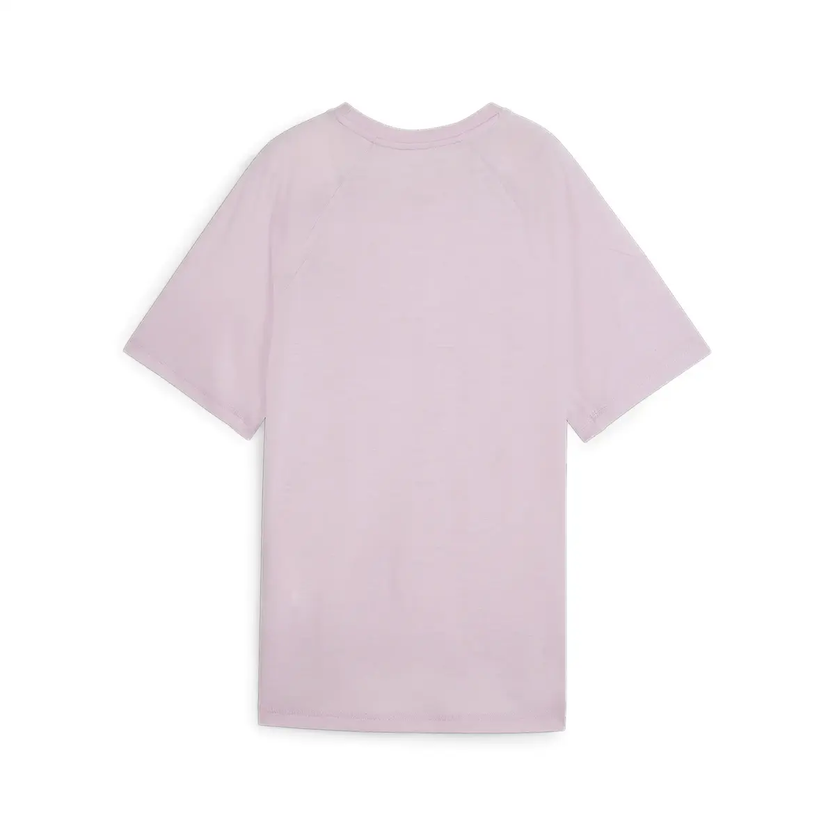 Puma EVOSTRIPE Graphic Tee Lila Kadın T-Shirt