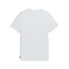 Puma X PLAYSTATION Graphic Tee Açık Gri Erkek T-Shirt