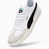 Puma Ascenso Beyaz Erkek Spor Ayakkabı & Sneaker