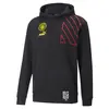 Puma Mcfc Ftblculture Hoody Erkek Takım Forması