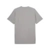 Puma TRAINING Tee Gri Erkek T-Shirt & Polo
