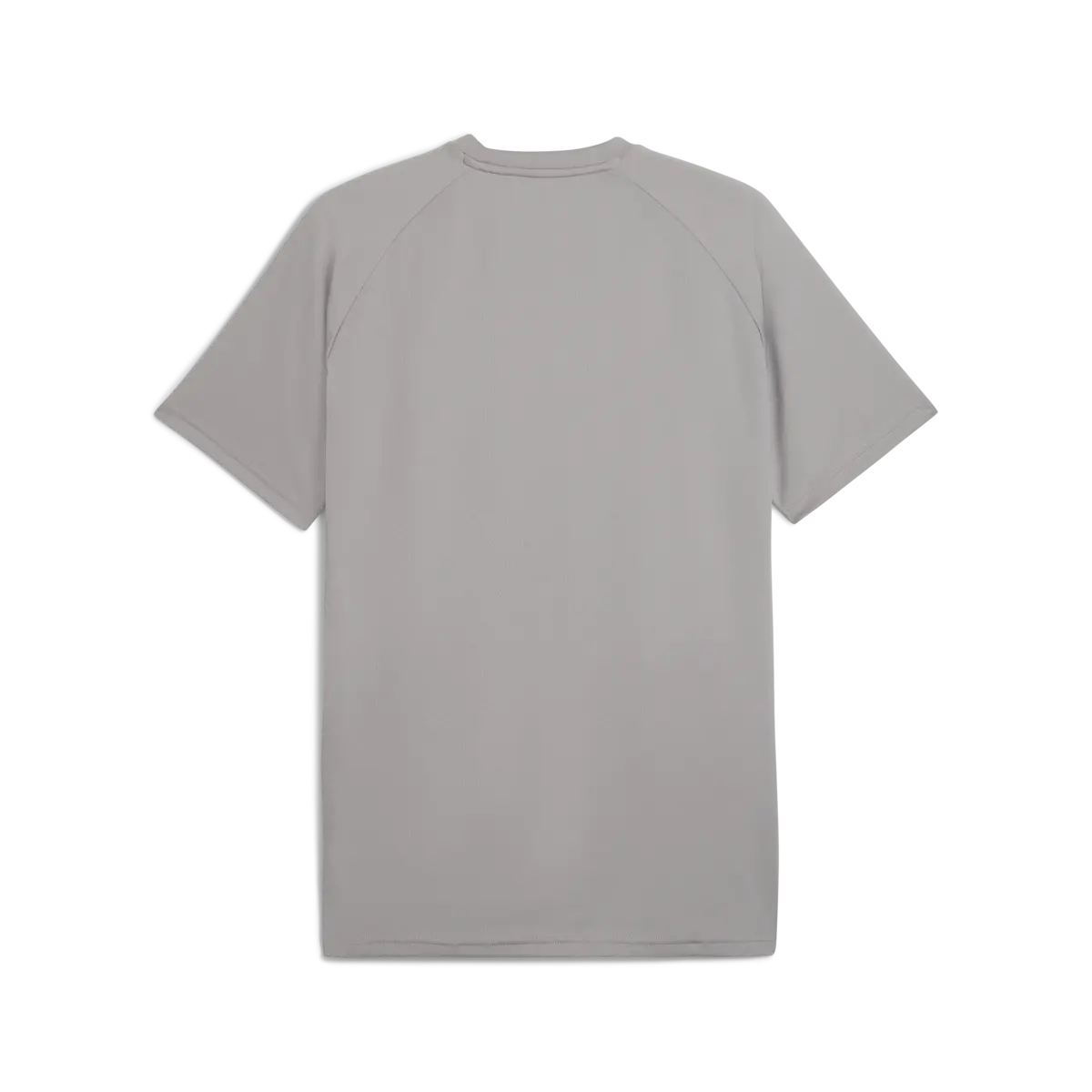 Puma TRAINING Tee Gri Erkek T-Shirt & Polo