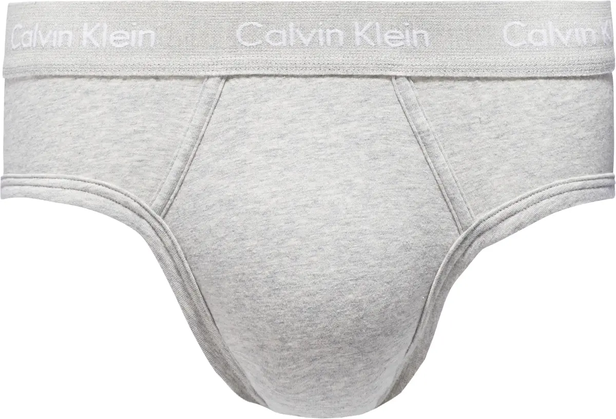 Calvin Klein brief Erkek Gri Slip