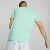 Puma SWxP Graphic Tee Mint Mint Erkek/Unisex T-Shirt