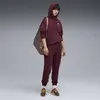 PUMA ESS Small No. 1 Logo Hoodie Bordo Kadın Sweatshirt