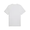 PUMA PUMA CLASS Graphic Tee Beyaz Erkek T-Shirt