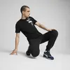 Puma GRAPHICS Icon Tee Siyah Erkek T-Shirt