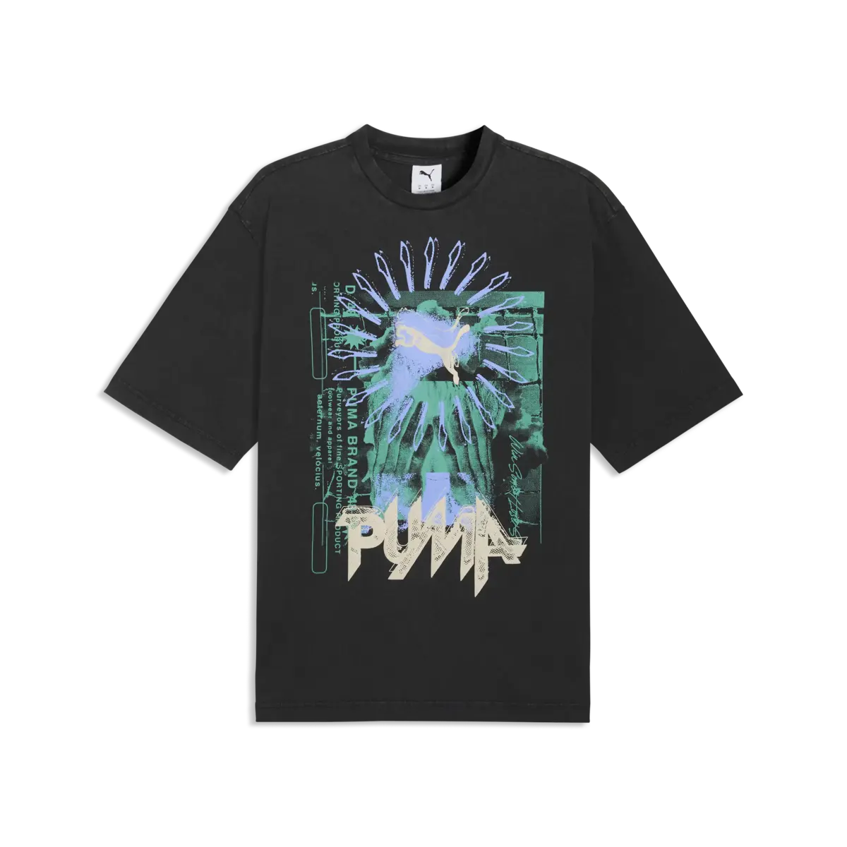 Puma GRAPHIC Tee Siyah Erkek T-Shirt